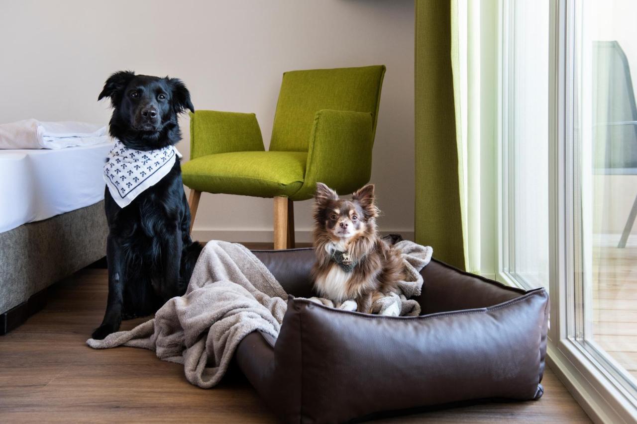 Schnitzers Dahoam - Hundefreundlich Hotell Bad Wiessee Exteriör bild